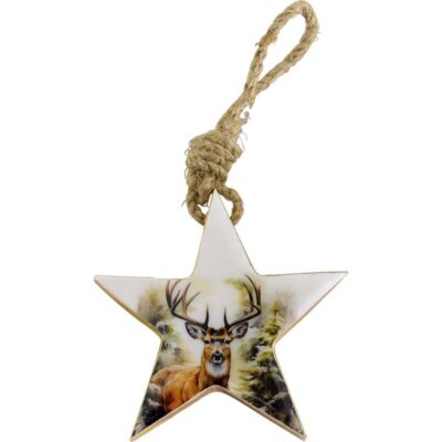 Hanger ster hout met emaille
